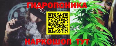 ГАЛЛЮЦИНОГЕННЫЕ ГРИБЫ Гай