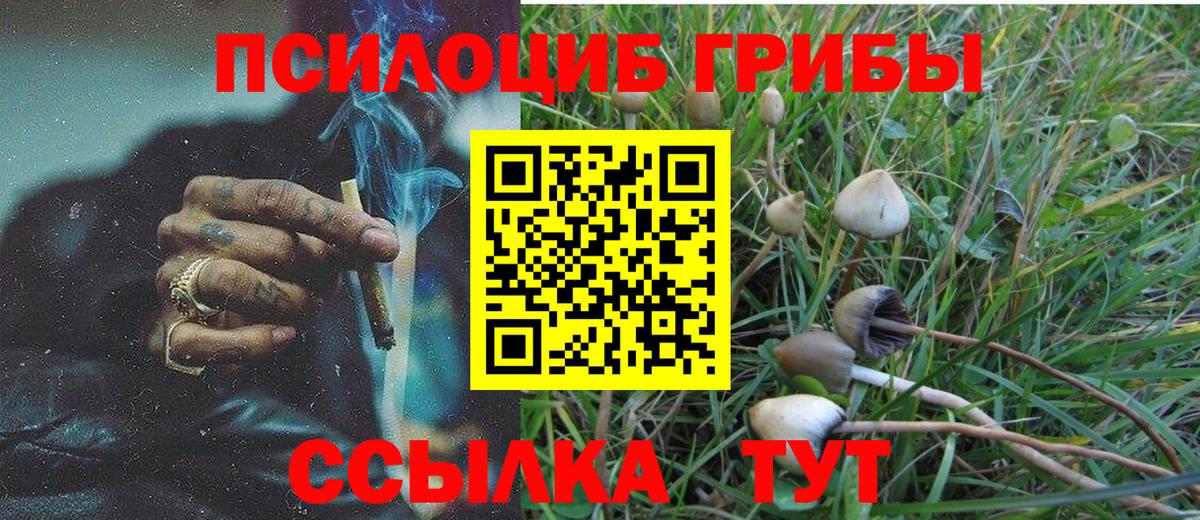 Псилоцибиновые грибы GOLDEN TEACHER  Вход с VPN  Мытищи  Галлюциногенные грибы GOLDEN TEACHER 