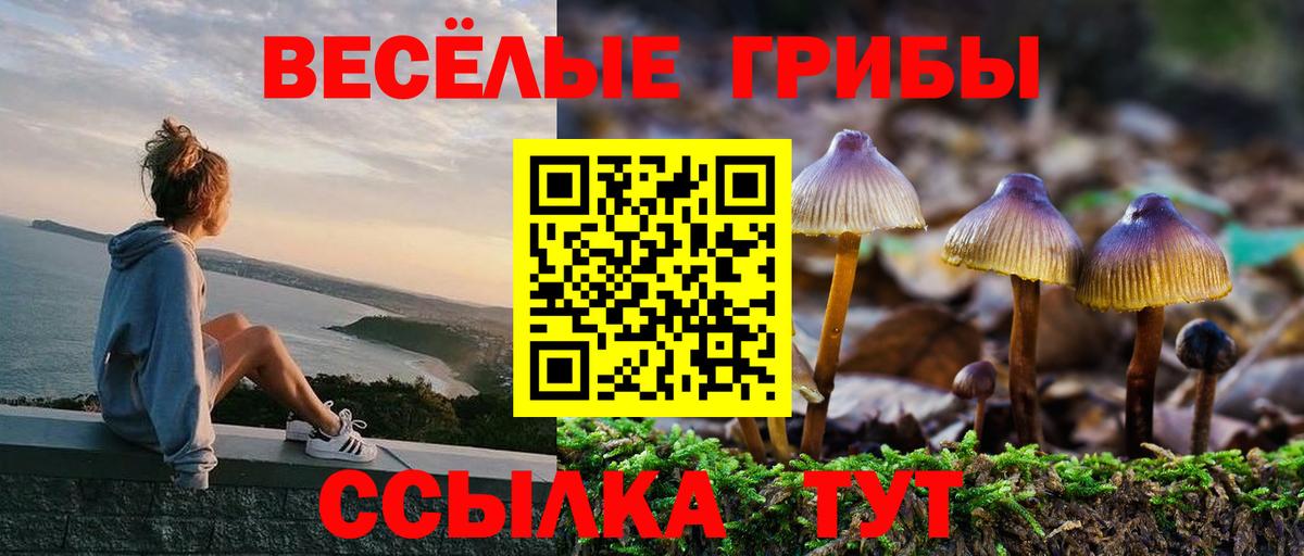 Галлюциногенные грибы MAGIC MUSHROOMS Мытищи